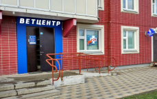 Ветеринарный центр доктора Соколовой в Новых Ватутинках